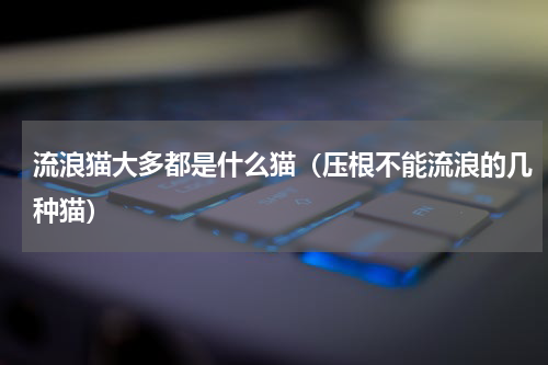 流浪猫大多都是什么猫（压根不能流浪的几种猫）