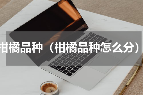 柑橘品种（柑橘品种怎么分）