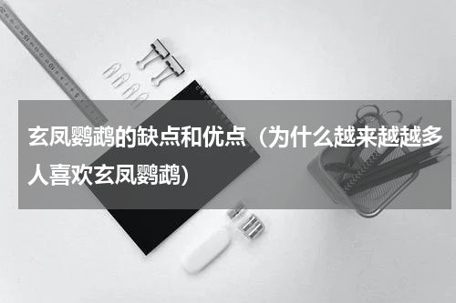 玄凤鹦鹉的缺点和优点（为什么越来越越多人喜欢玄凤鹦鹉）