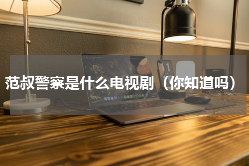 范叔警察是什么电视剧（你知道吗）