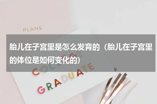 胎儿在子宫里是怎么发育的（胎儿在子宫里的体位是如何变化的）