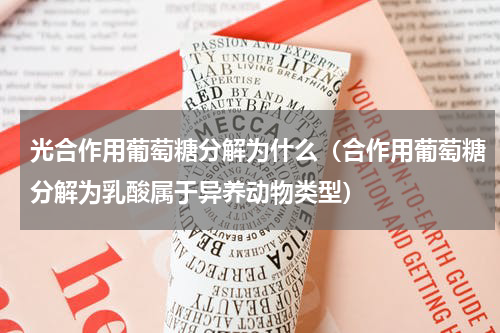 光合作用葡萄糖分解为什么（合作用葡萄糖分解为乳酸属于异养动物类型）