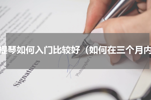 小提琴如何入门比较好（如何在三个月内）