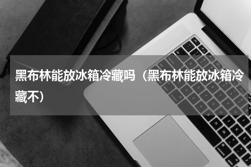 黑布林能放冰箱冷藏吗（黑布林能放冰箱冷藏不）