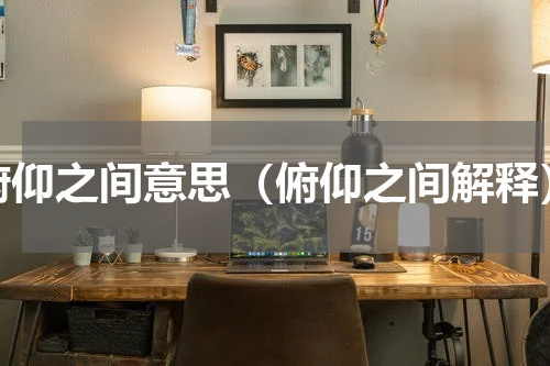 俯仰之间意思（俯仰之间解释）