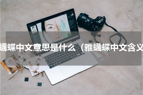 雅蠛蝶中文意思是什么（雅蠛蝶中文含义）