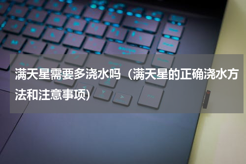 满天星需要多浇水吗（满天星的正确浇水方法和注意事项）