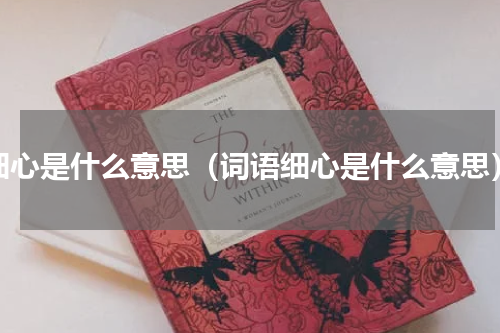 细心是什么意思（词语细心是什么意思）