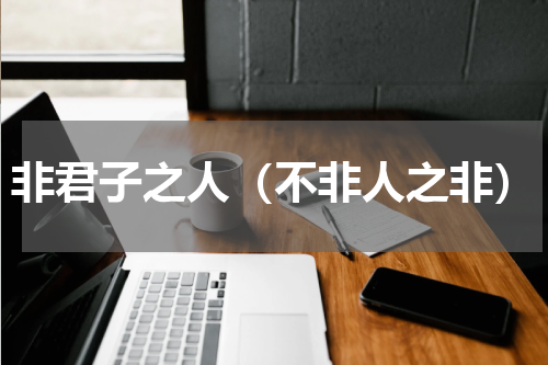 非君子之人（不非人之非）