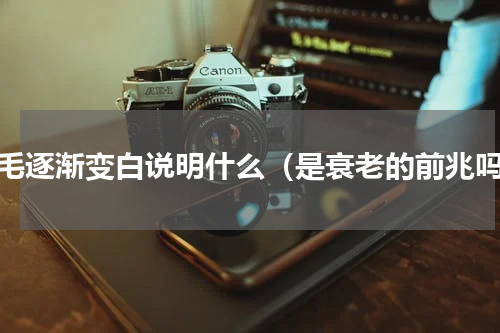 鼻毛逐渐变白说明什么（是衰老的前兆吗）