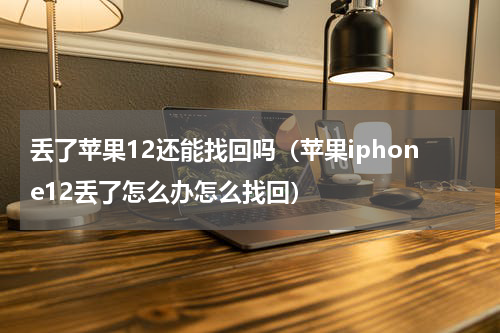 丢了苹果12还能找回吗（苹果iphone12丢了怎么办怎么找回）