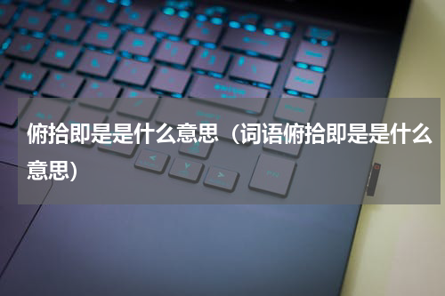 俯拾即是是什么意思（词语俯拾即是是什么意思）