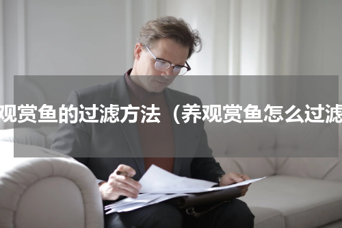 养观赏鱼的过滤方法（养观赏鱼怎么过滤）