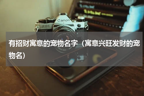 有招财寓意的宠物名字（寓意兴旺发财的宠物名）