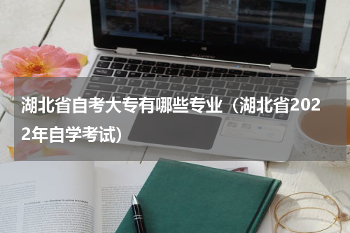 湖北省自考大专有哪些专业（湖北省2022年自学考试）