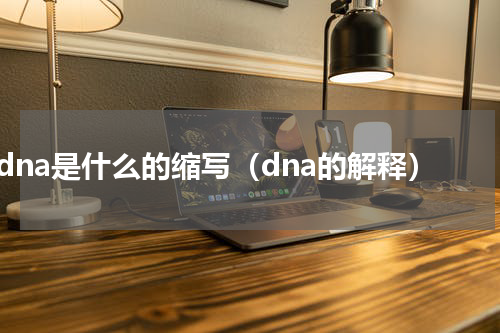 dna是什么的缩写（dna的解释）