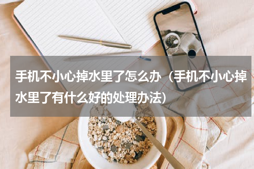 手机不小心掉水里了怎么办（手机不小心掉水里了有什么好的处理办法）