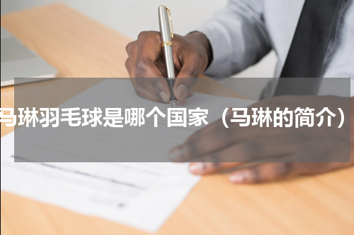 马琳羽毛球是哪个国家（马琳的简介）