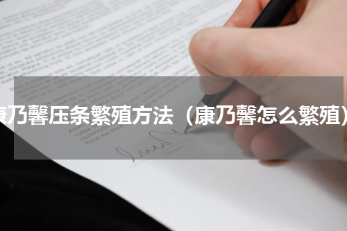 康乃馨压条繁殖方法（康乃馨怎么繁殖）