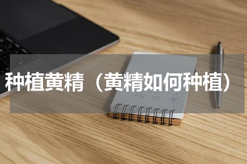 种植黄精（黄精如何种植）
