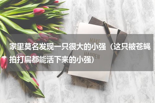 家里莫名发现一只很大的小强（这只被苍蝇拍打扁都能活下来的小强）