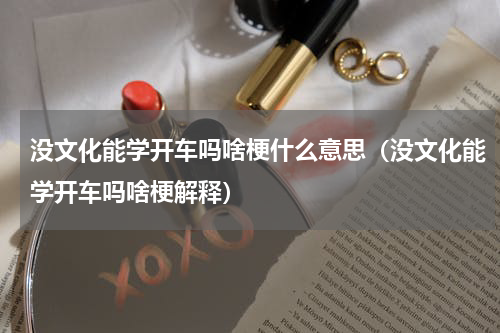 没文化能学开车吗啥梗什么意思（没文化能学开车吗啥梗解释）