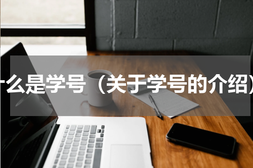 什么是学号（关于学号的介绍）