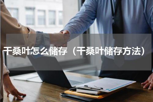 干桑叶怎么储存（干桑叶储存方法）