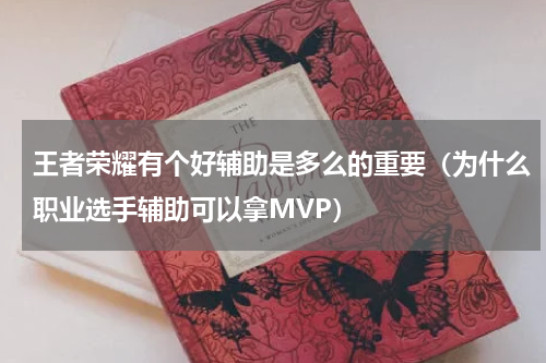 王者荣耀有个好辅助是多么的重要（为什么职业选手辅助可以拿MVP）