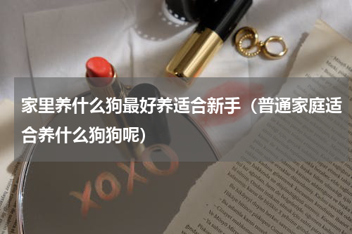 家里养什么狗最好养适合新手（普通家庭适合养什么狗狗呢）