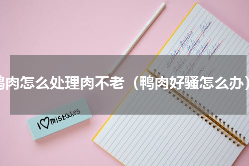 鸭肉怎么处理肉不老（鸭肉好骚怎么办）