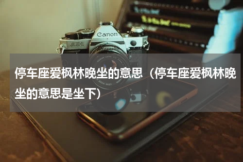停车座爱枫林晚坐的意思（停车座爱枫林晚坐的意思是坐下）