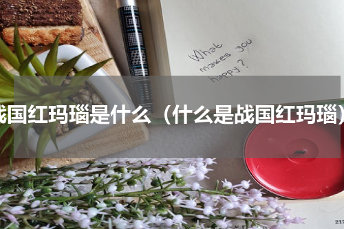 战国红玛瑙是什么（什么是战国红玛瑙）