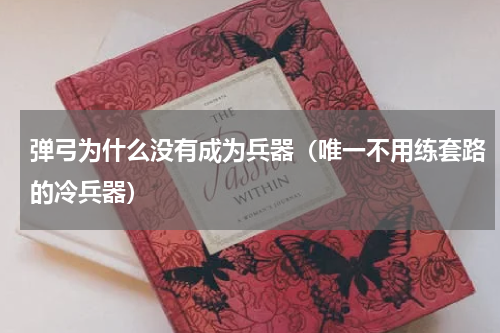 弹弓为什么没有成为兵器（唯一不用练套路的冷兵器）