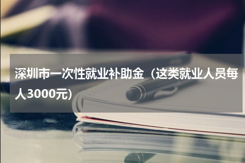 深圳市一次性就业补助金（这类就业人员每人3000元）