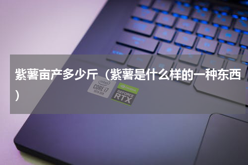 紫薯亩产多少斤（紫薯是什么样的一种东西）