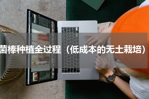 菌棒种植全过程（低成本的无土栽培）
