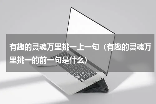 有趣的灵魂万里挑一上一句（有趣的灵魂万里挑一的前一句是什么）