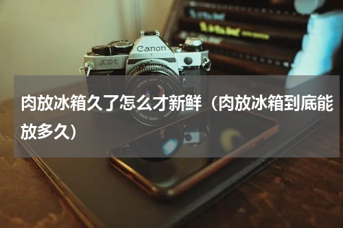 肉放冰箱久了怎么才新鲜（肉放冰箱到底能放多久）
