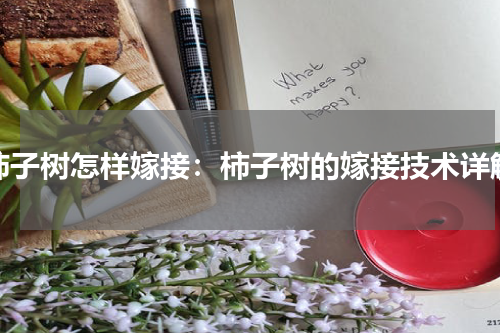 柿子树怎样嫁接：柿子树的嫁接技术详解