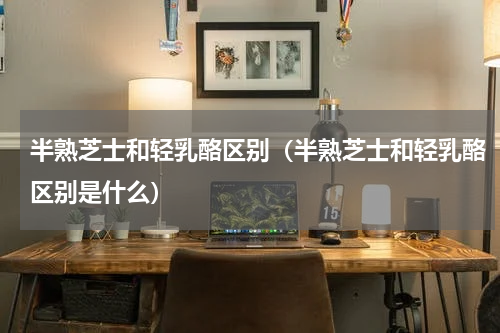 半熟芝士和轻乳酪区别（半熟芝士和轻乳酪区别是什么）
