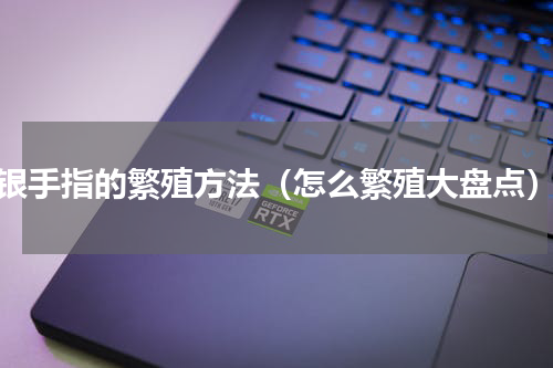 银手指的繁殖方法（怎么繁殖大盘点）