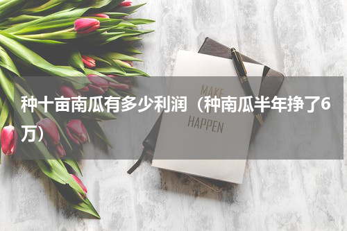 种十亩南瓜有多少利润（种南瓜半年挣了6万）