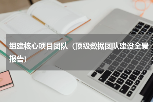 组建核心项目团队（顶级数据团队建设全景报告）