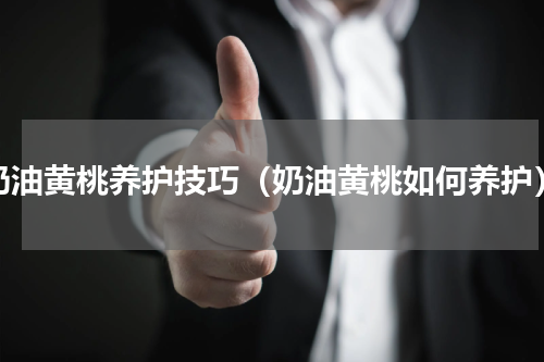 奶油黄桃养护技巧（奶油黄桃如何养护）