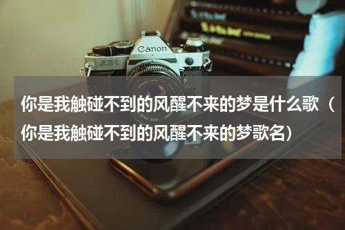 你是我触碰不到的风醒不来的梦是什么歌（你是我触碰不到的风醒不来的梦歌名）