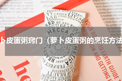 萝卜皮蛋粥窍门（萝卜皮蛋粥的烹饪方法）