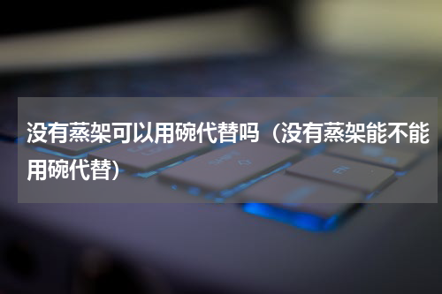 没有蒸架可以用碗代替吗（没有蒸架能不能用碗代替）