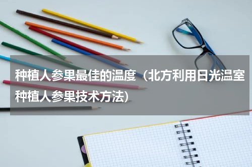 种植人参果最佳的温度（北方利用日光温室种植人参果技术方法）