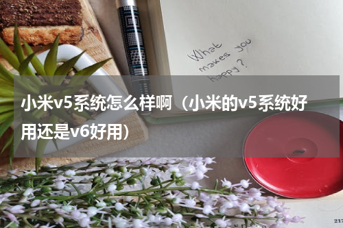 小米v5系统怎么样啊（小米的v5系统好用还是v6好用）